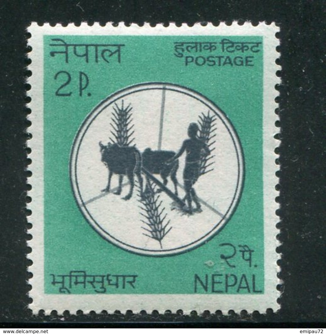 NEPAL- Y&T N°175- Neuf Sans Charnière ** - Népal