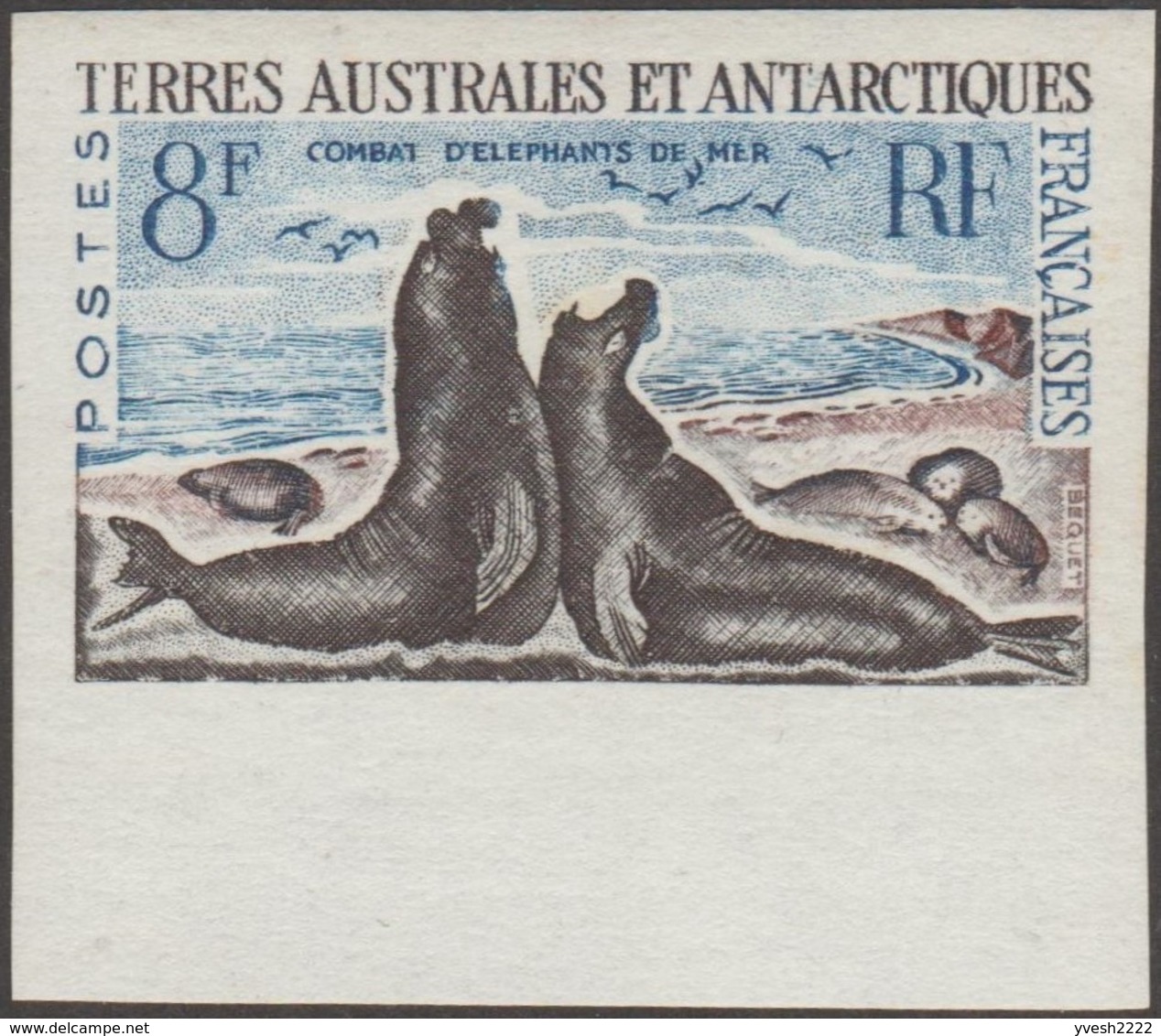 TAAF 1962 Y&T 13C Michel 25. Essai De Couleurs Tricolore, Proche De La Couleur Définitive. Combat D'éléphants De Mer - Antarctische Fauna