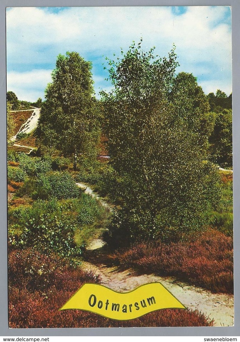 NL.- OOTMARSUM. TWENTE. Nr. 215 - Ootmarsum