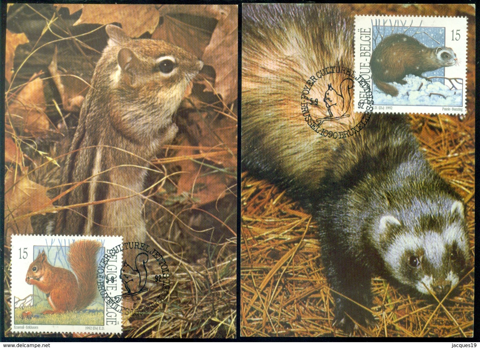 België 1992 Maximumkaarten (4) Natuur Kleine Zoogdieren - 1991-2000