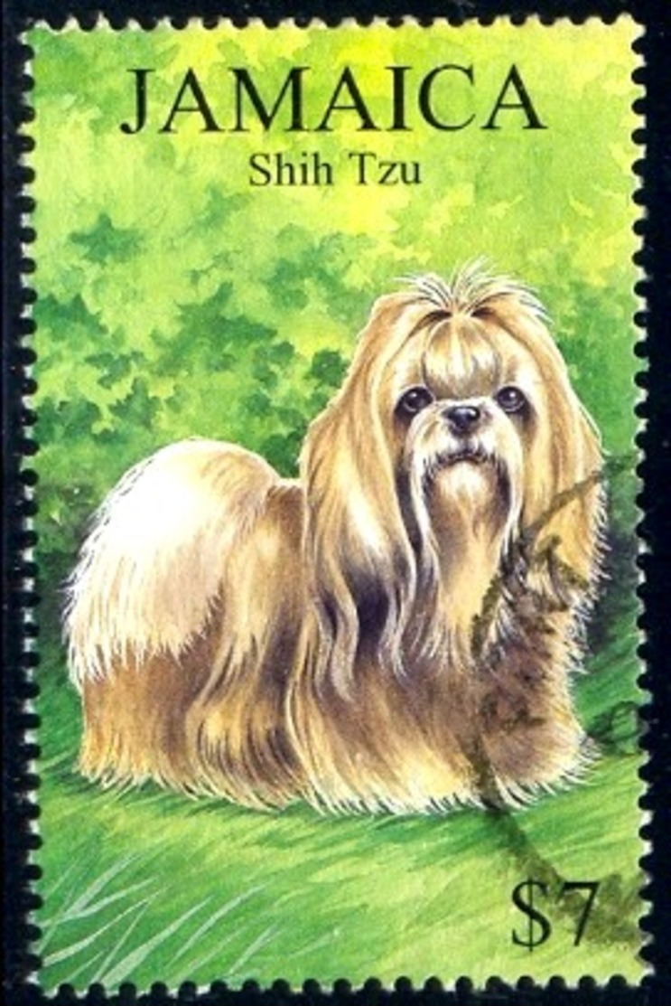 Dog, Shih Tzu, Jamaica Stamp SC#908 Used - Jamaica (1962-...)