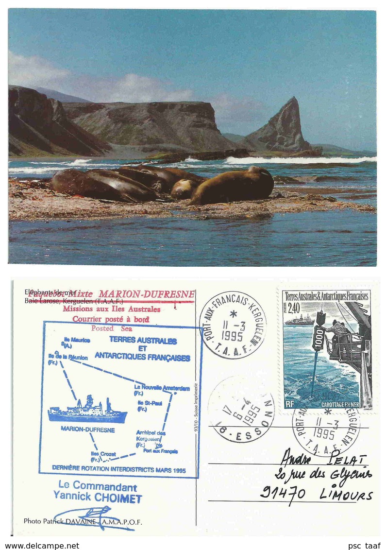 Eléphants De Mer - Baie Larose - Kerguelen - TAAF - Autres & Non Classés