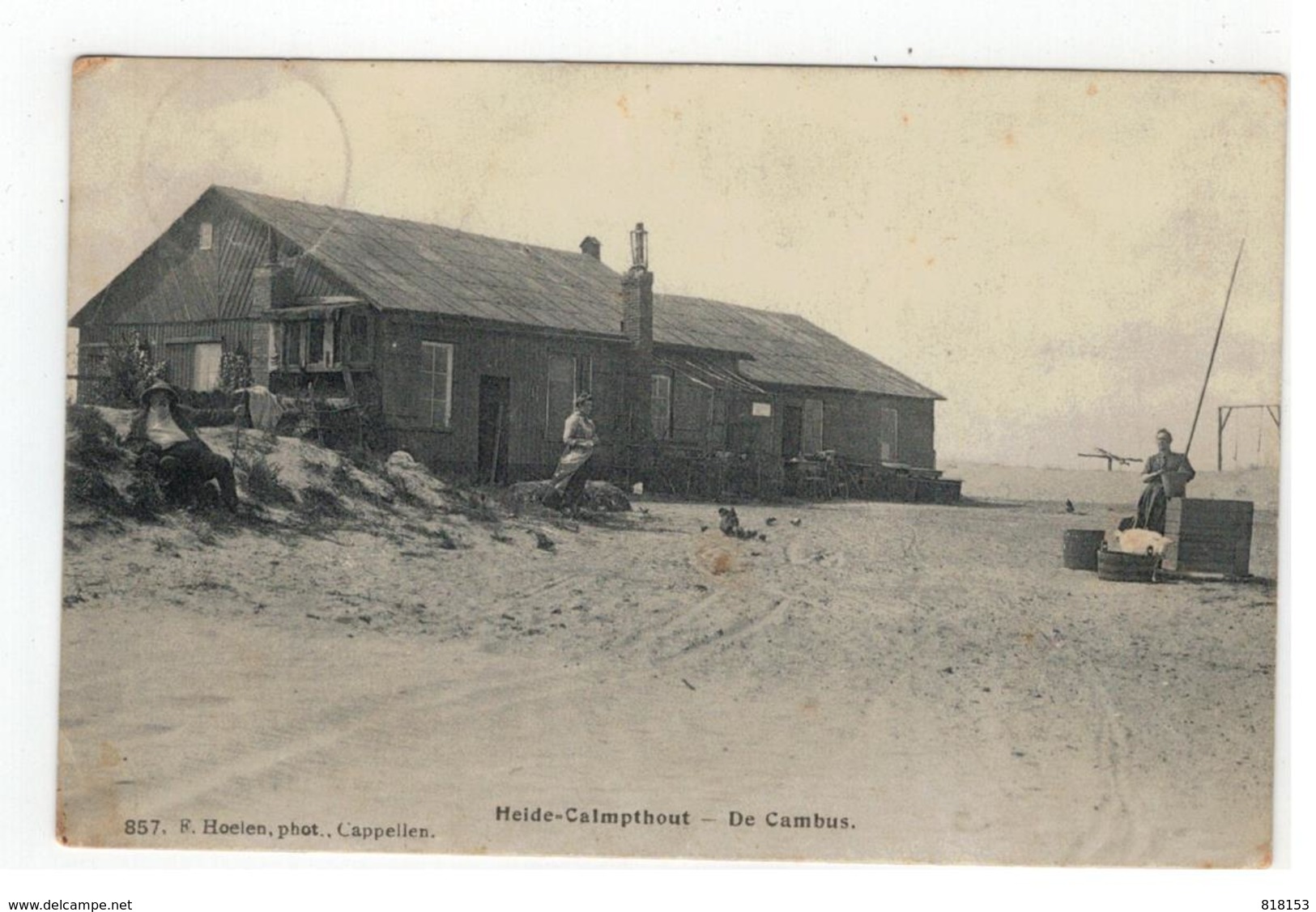 857  Heide-Calmpthout  -  De Cambus    F.Hoelen,phot. Cappellen  1913 - Kalmthout