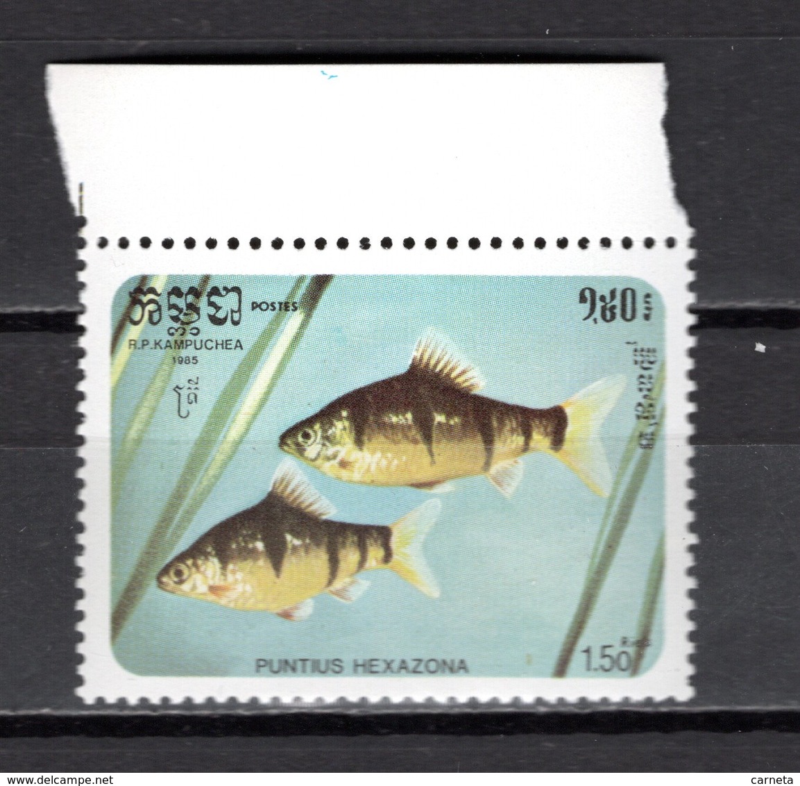 KAMPUCHEA N° 601  NEUF SANS CHARNIERE COTE 1.50€  POISSON ANIMAUX - Kampuchea