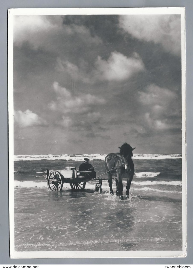 NL.- TERSCHELLING Van Vroeger. De Strandjutter. - Terschelling