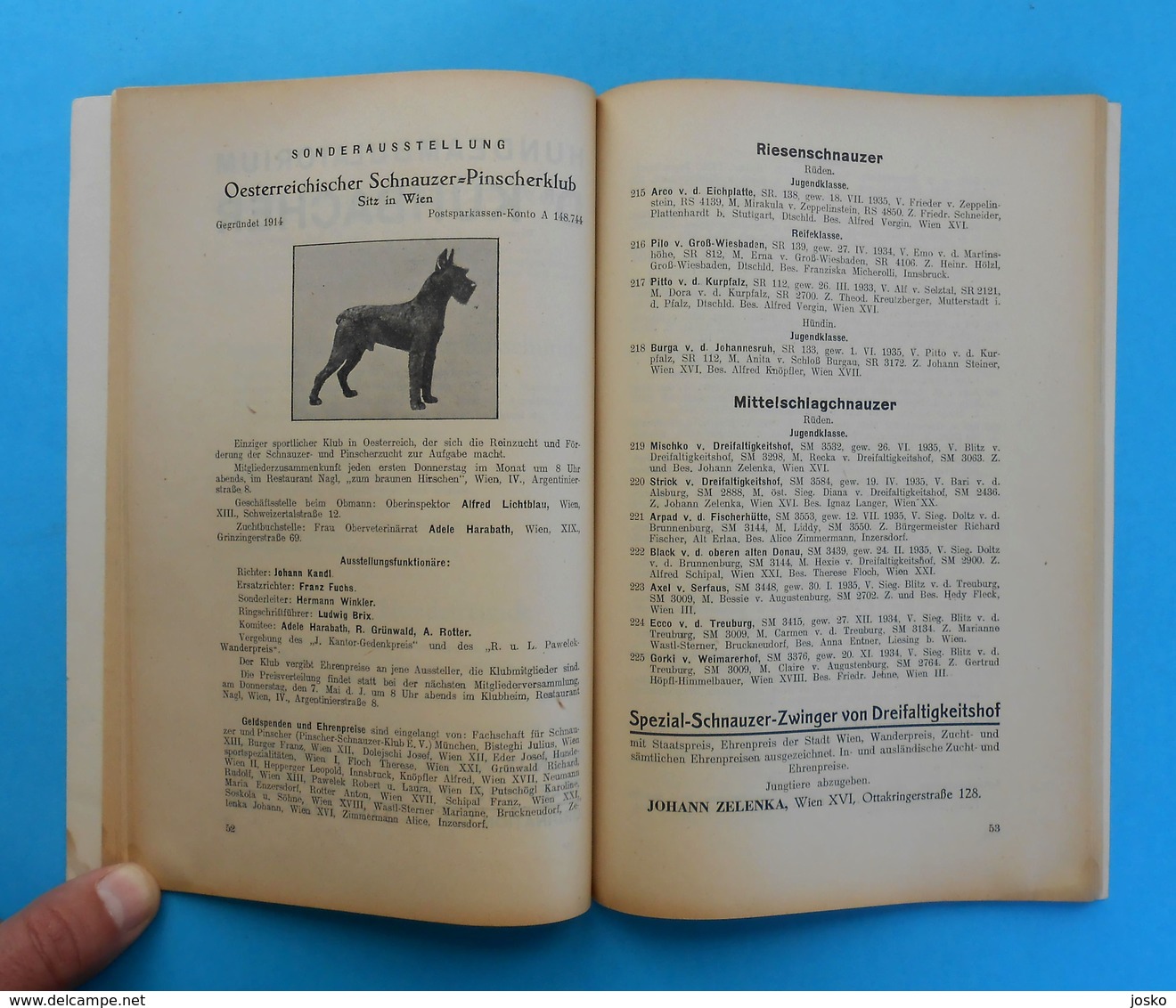 AUSTRIA 1936. INTERNATIONAL DOG SHOW VIENNA ( Internationale Hundeausstellung Wien 1936. Osterreich ) hund chien cane RR