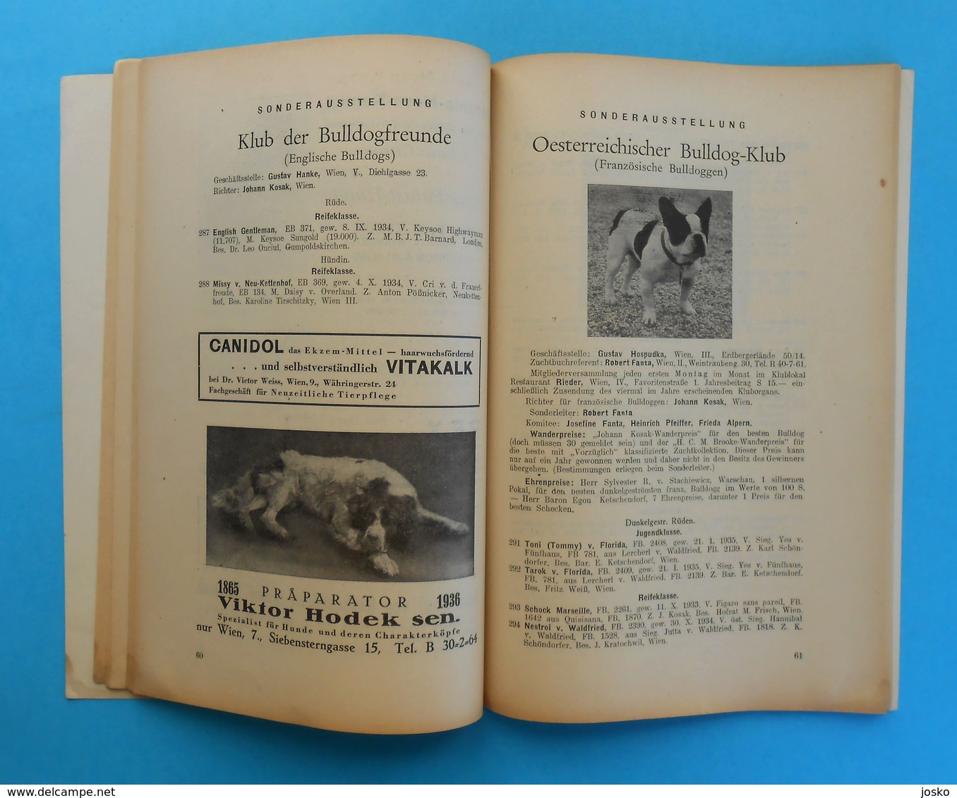 AUSTRIA 1936. INTERNATIONAL DOG SHOW VIENNA ( Internationale Hundeausstellung Wien 1936. Osterreich ) hund chien cane RR