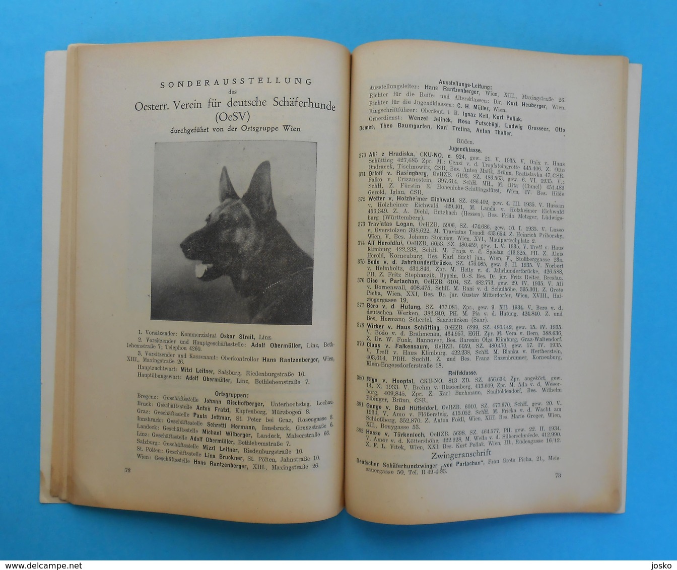 AUSTRIA 1936. INTERNATIONAL DOG SHOW VIENNA ( Internationale Hundeausstellung Wien 1936. Osterreich ) hund chien cane RR