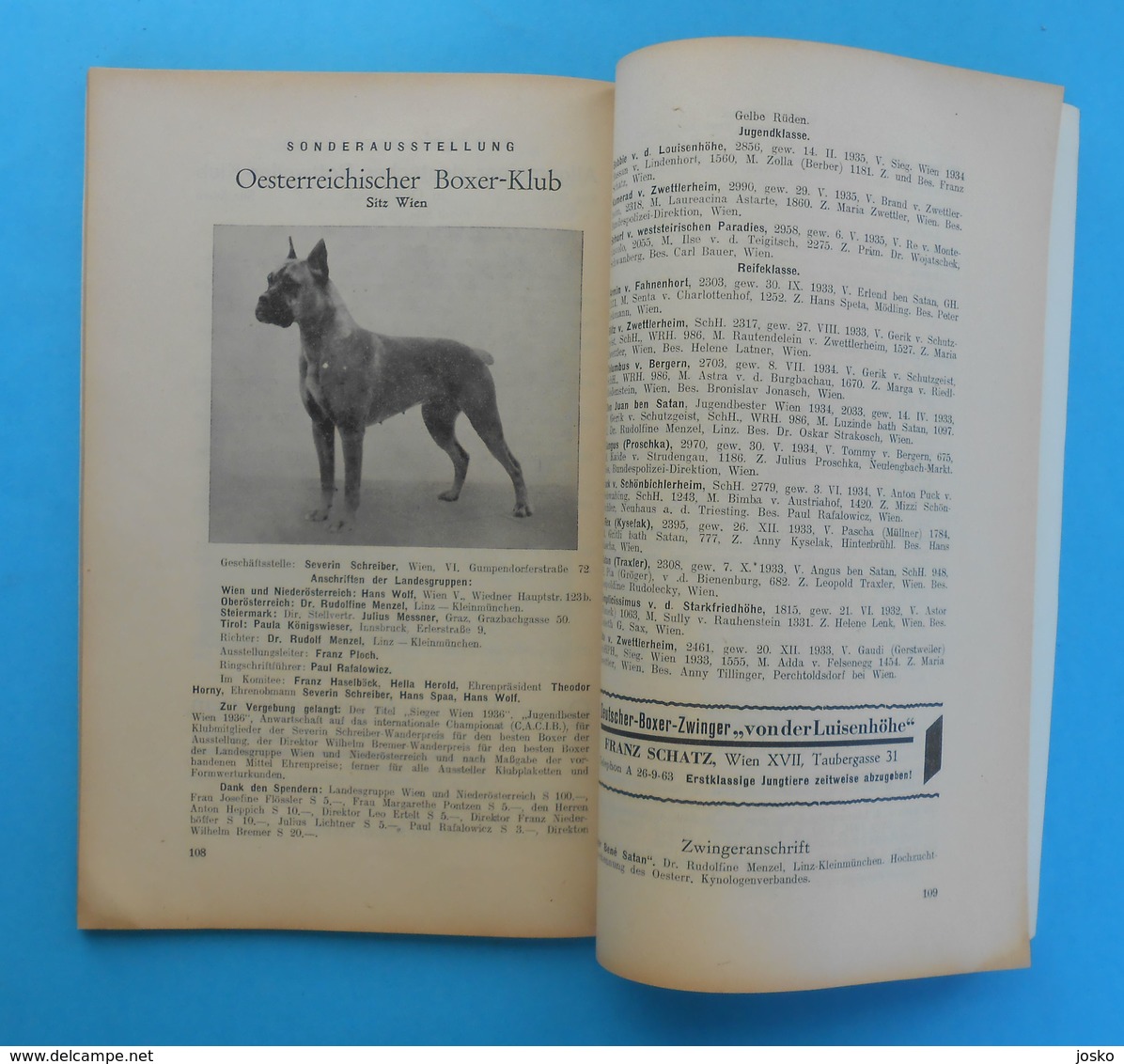 AUSTRIA 1936. INTERNATIONAL DOG SHOW VIENNA ( Internationale Hundeausstellung Wien 1936. Osterreich ) hund chien cane RR