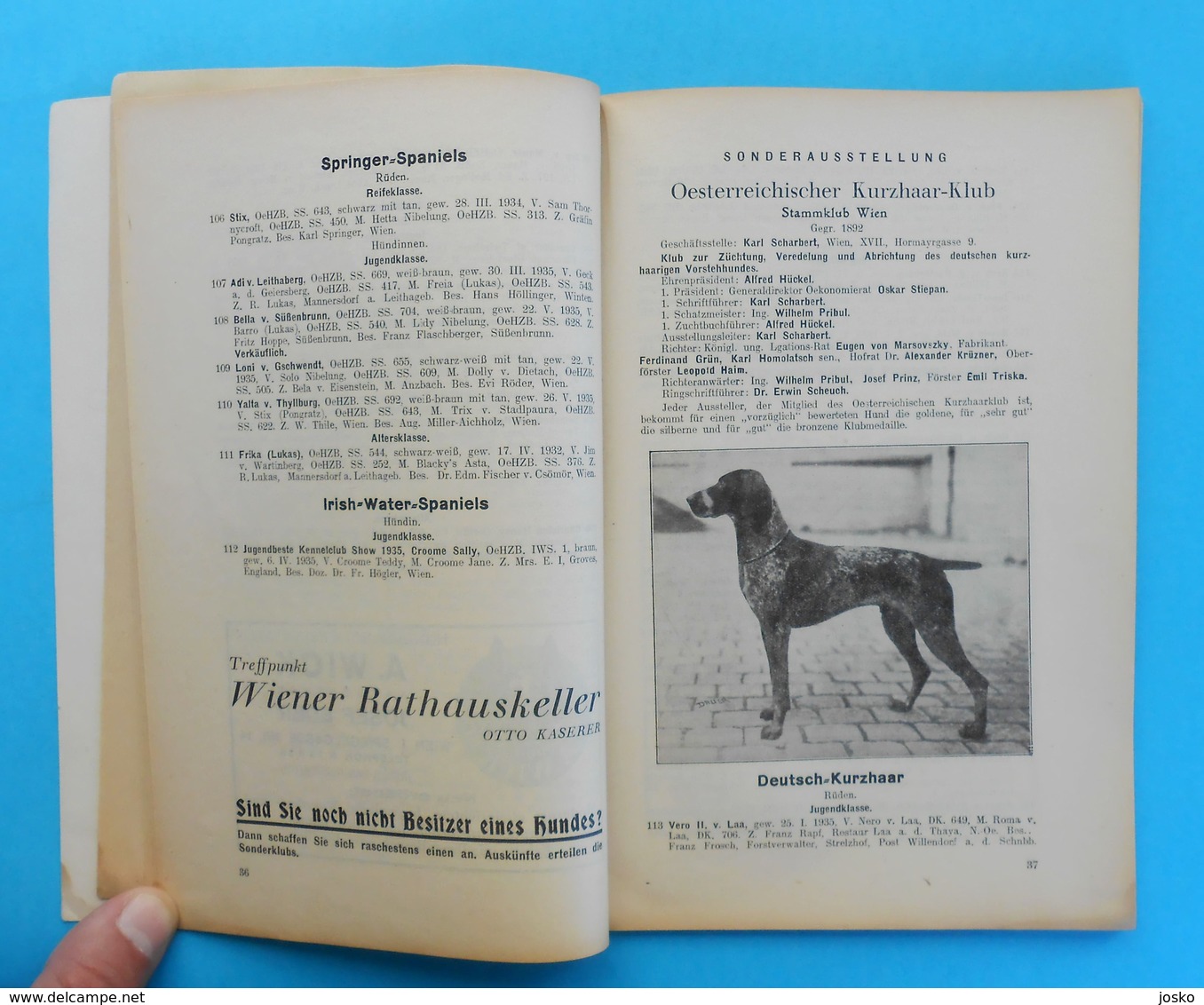 AUSTRIA 1936. INTERNATIONAL DOG SHOW VIENNA ( Internationale Hundeausstellung Wien 1936. Osterreich ) hund chien cane RR