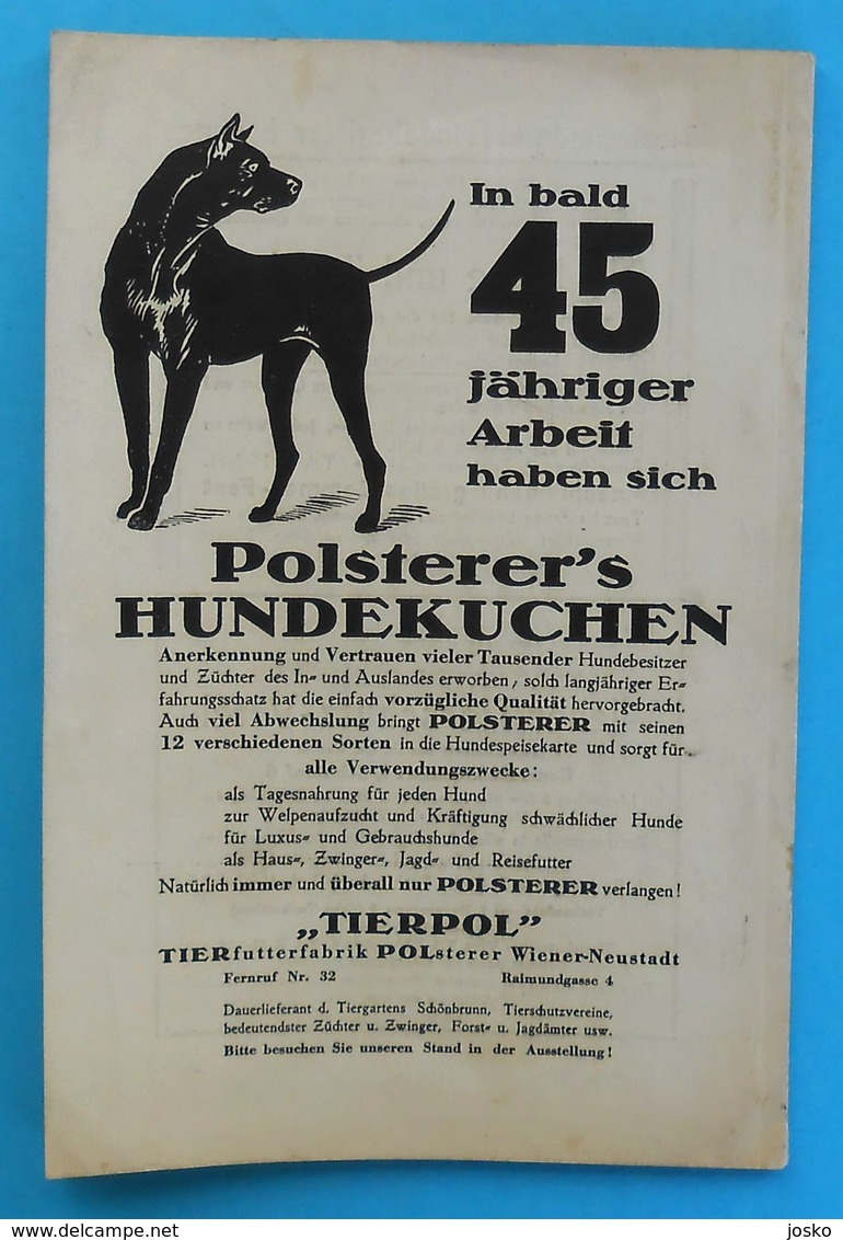 AUSTRIA 1936. INTERNATIONAL DOG SHOW VIENNA ( Internationale Hundeausstellung Wien 1936. Osterreich ) hund chien cane RR