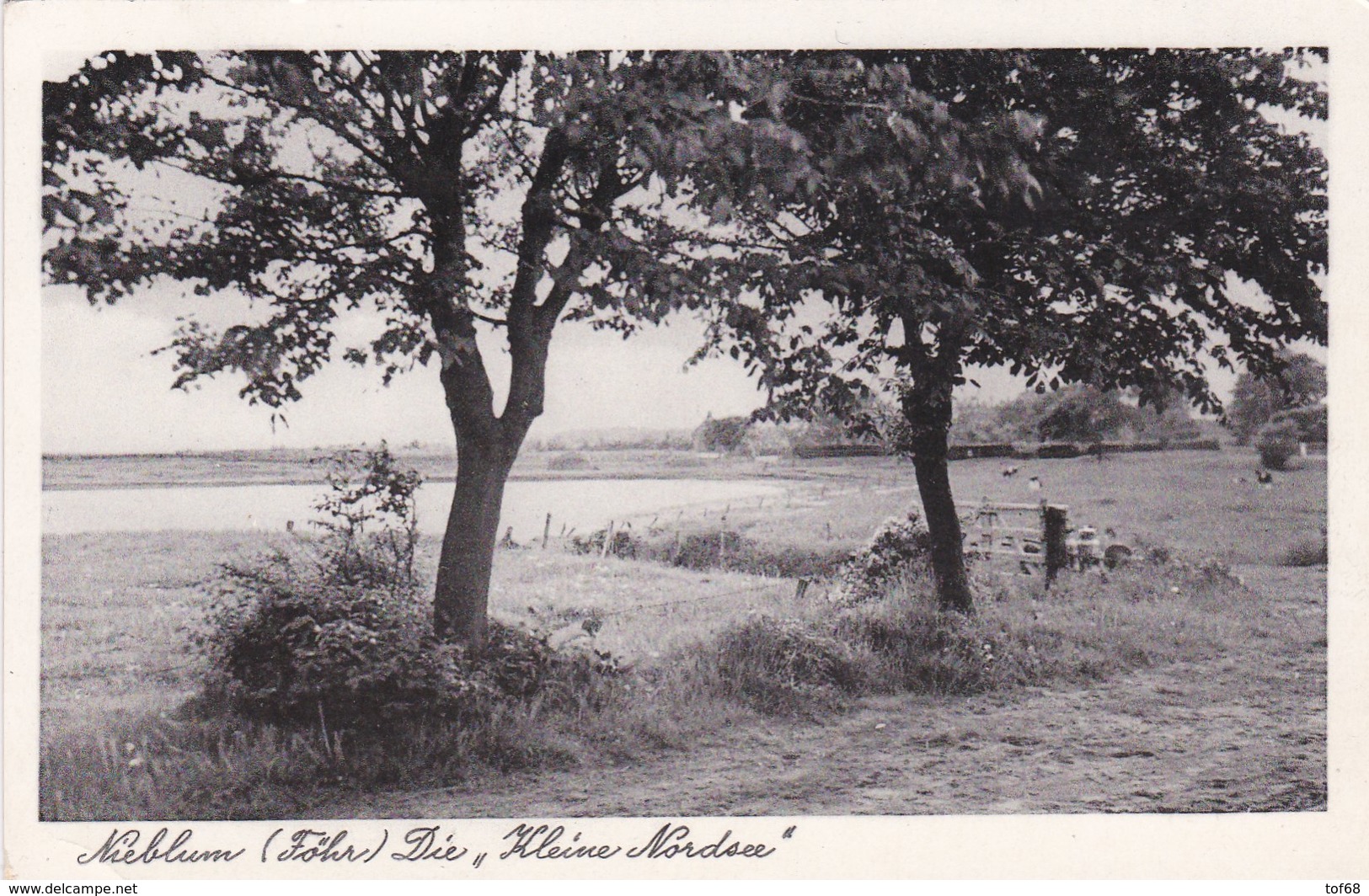 Nieblum Föhr Die Kleine Nordsee - Föhr