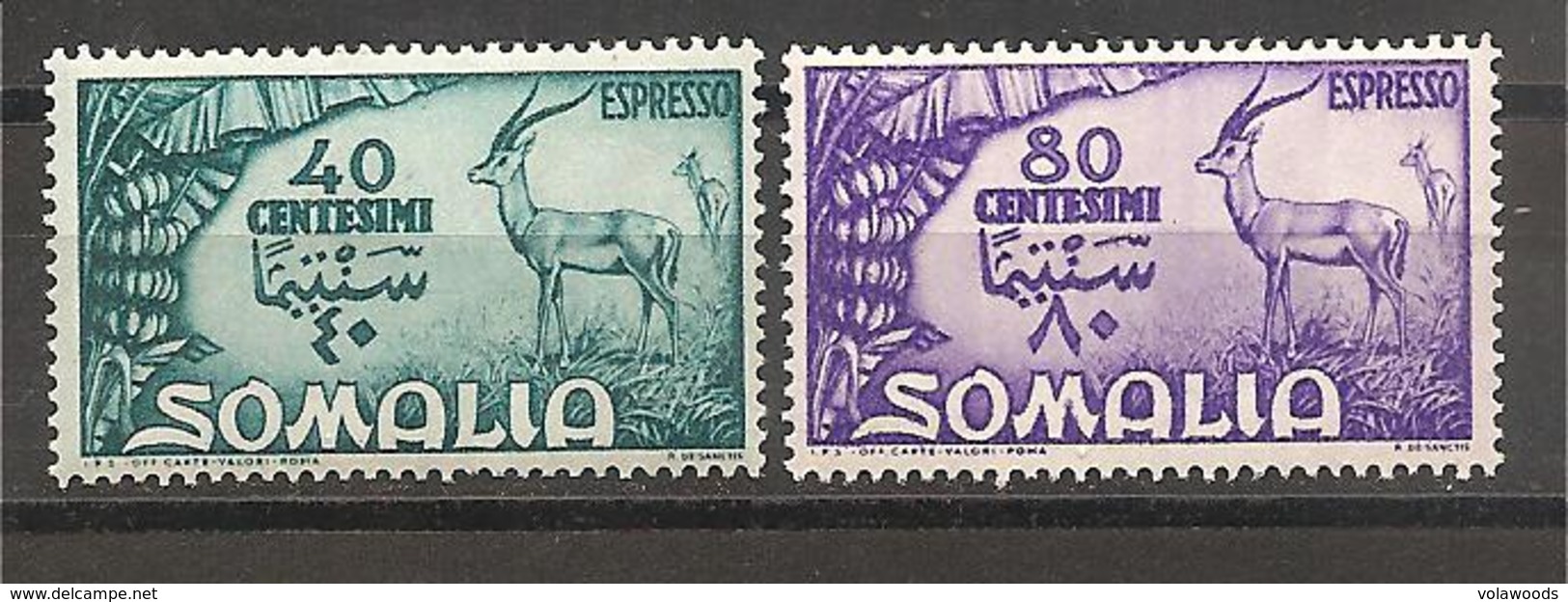 Somalia AFIS - Serie Completa Nuova Espressi MNH: Serie Pittorica - 1950 - Somalia (AFIS)