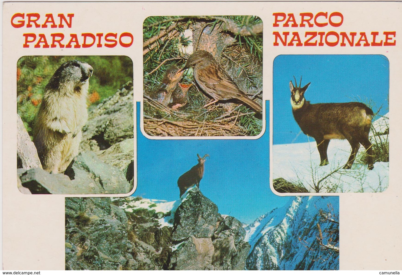 Gran Paradiso - Altri & Non Classificati