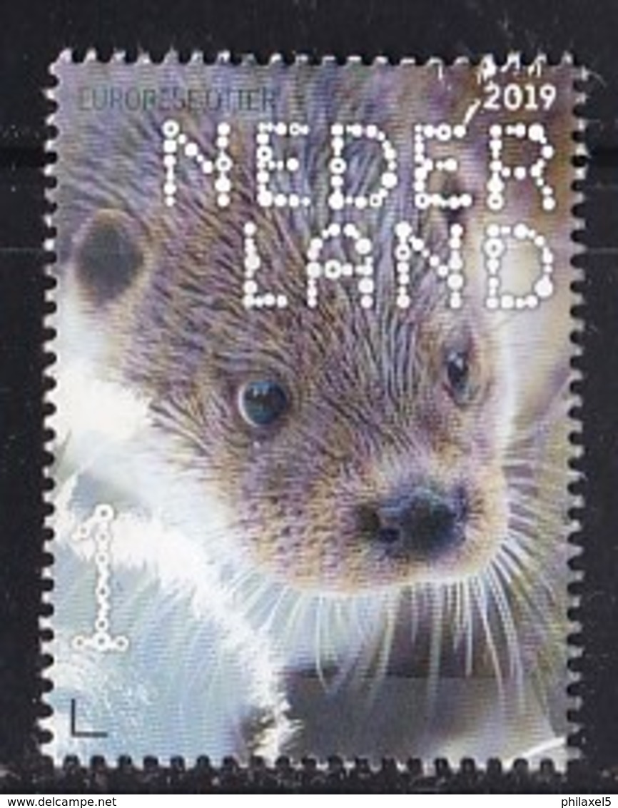 Nederland – Beleef De Natuur – Zoogdieren – Europese Otter (Lutra Lutra) – MNH - NVPH 3717 - Unused Stamps