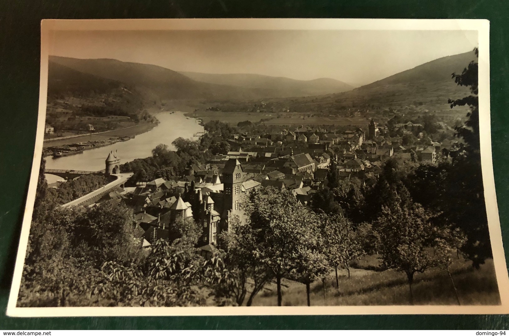 Miltenberg Am Rhein Übersicht Vom Panoramaweg - Miltenberg A. Main