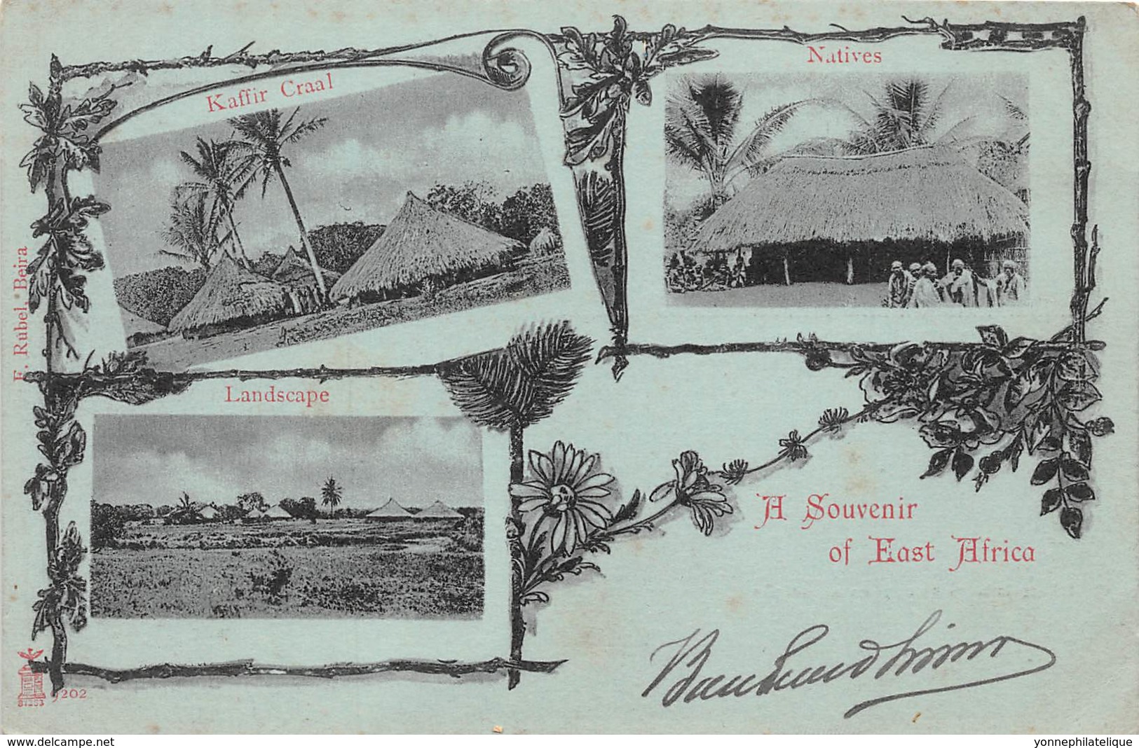 Mozambique - Topo / 11 - Belle Carte Souvenir - Mozambique