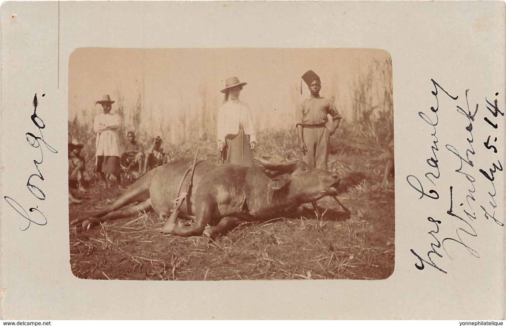 Namibie / 10 - Carte Photo - Belle Scène De Chasse - Défaut - Namibia