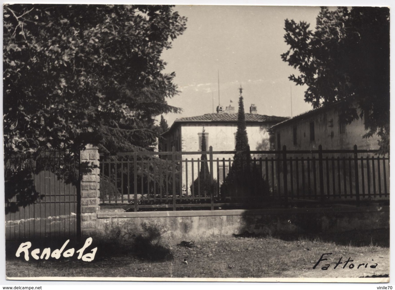 RENDOLA MONTEVARCHI  AREZZO  Cartolina  Viaggiata 1963 - Arezzo