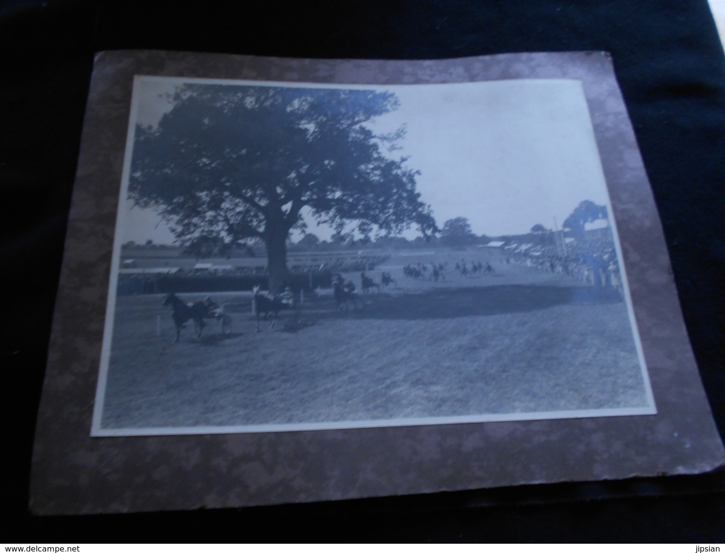 Importante Ancienne Photographie 40 X 30 Cm Champ De Courses Trotteurs à Situer Bretagne ?? Hippisme Chevaux - Sports