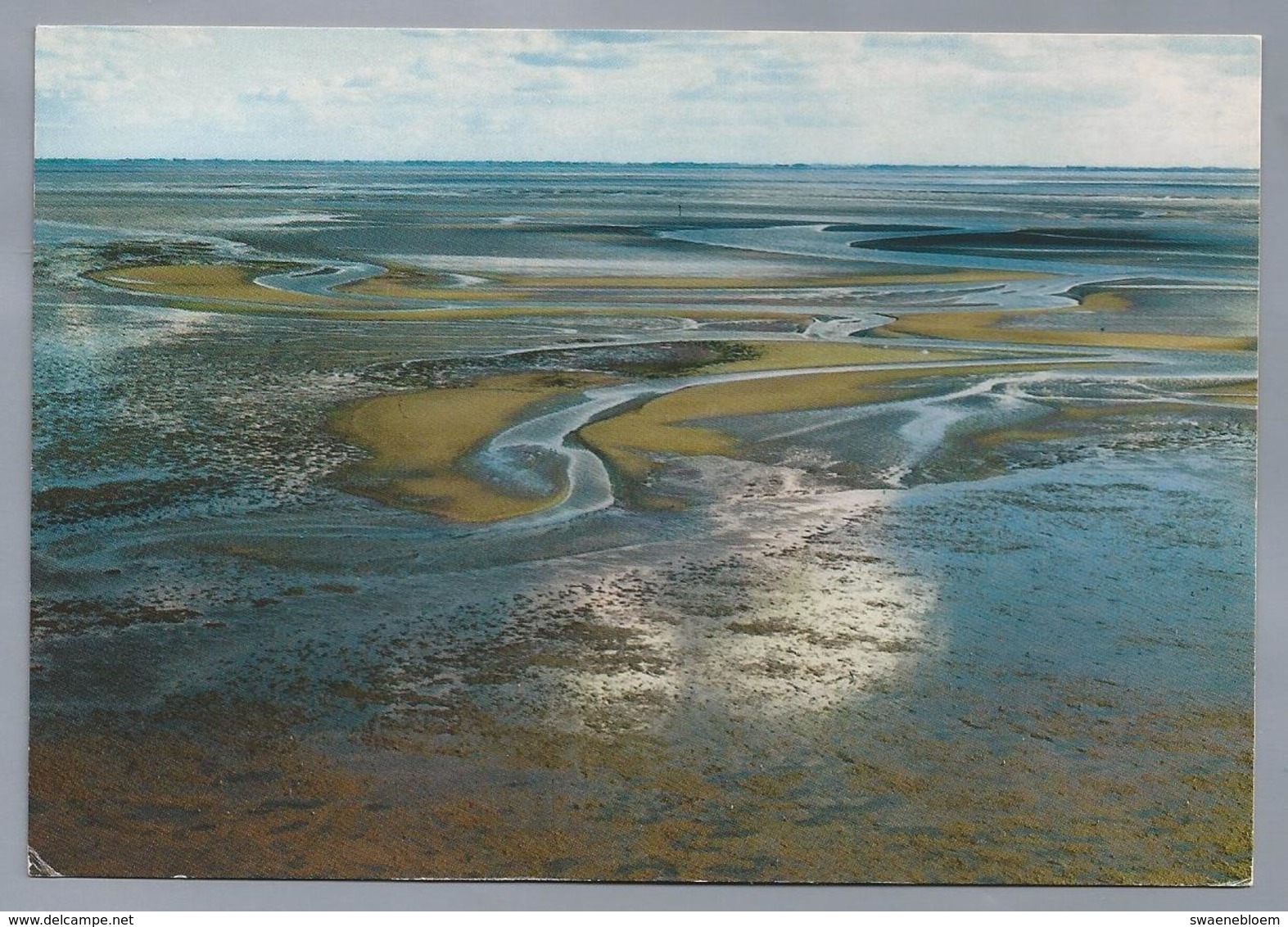 NL.- WADDENZEE. Een Uniek Natuurgebied Geulen Op Het Wad. - Andere & Zonder Classificatie