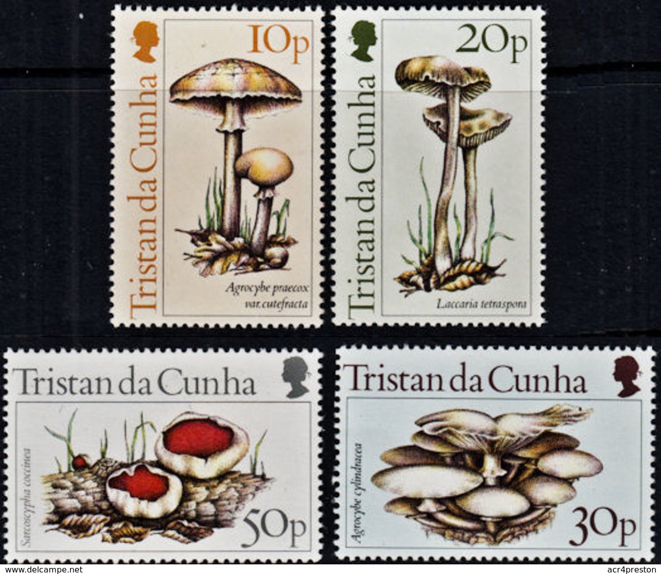 A0154 TRISTAN DA CUNHA 1984, SG 369-72  Fungi, MNH - Tristan Da Cunha