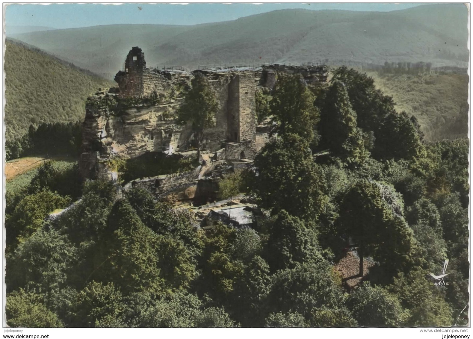 67 - Fleckenstein - Le Château - Vue D'ensemble Côté Nord - Sonstige & Ohne Zuordnung