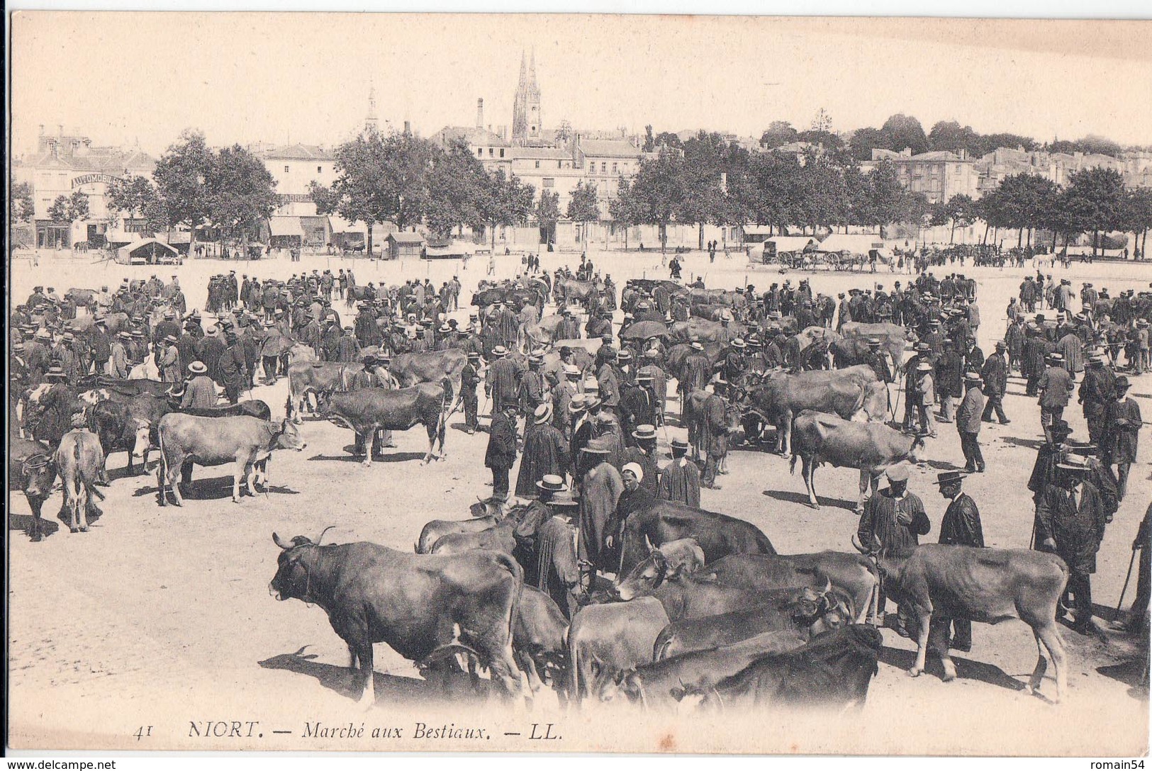 NIORT-MARCHE AUX BESTIAUX - Niort