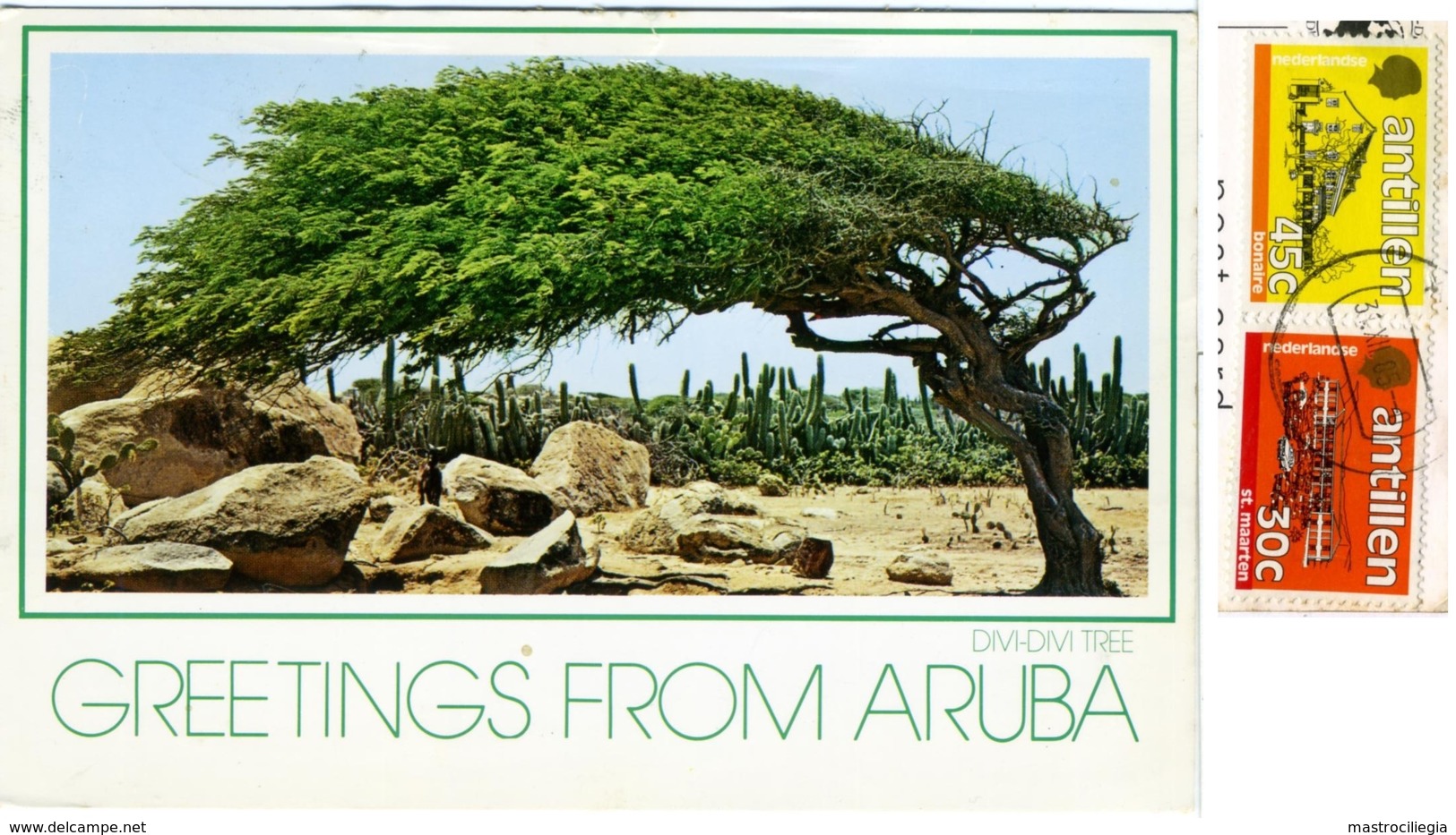 ARUBA  NETHELANDS ANTILLES  The Famous Divi-Divi  Nice Stamps Antillen Bonaire St Marten - Aruba