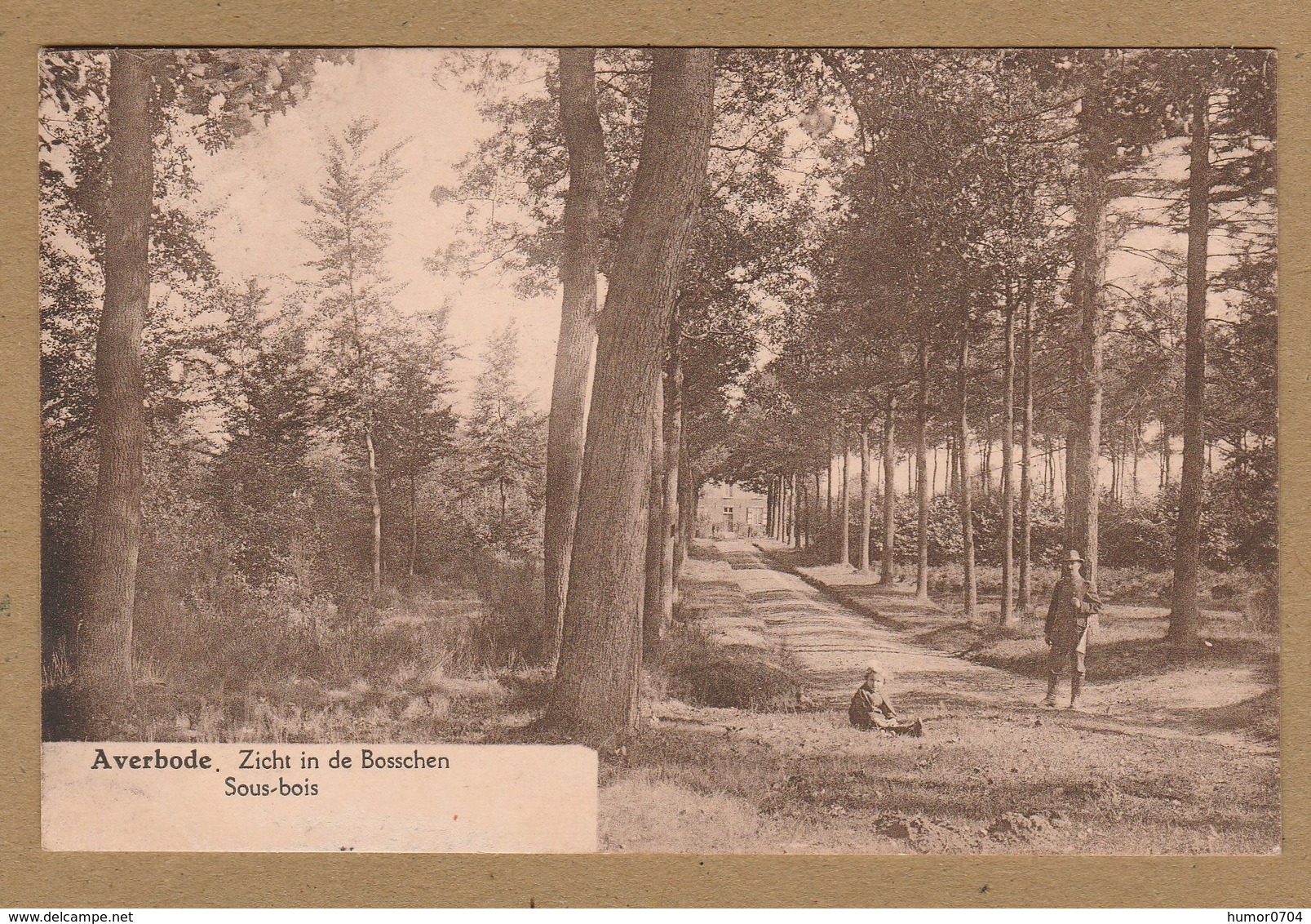 Averbode (Scherpenheuvel - Zichem) Zicht In De Bosschen  Sous - Bois - Scherpenheuvel-Zichem