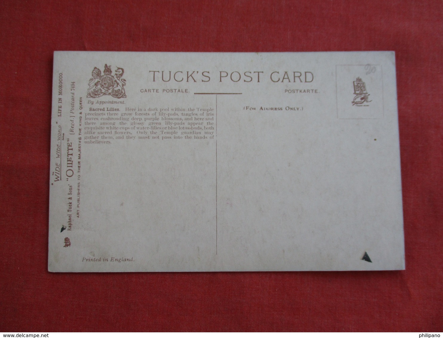 Tuck Series-- Life In Morocco --- Sacred Lilies      Ref 3118 - Other & Unclassified