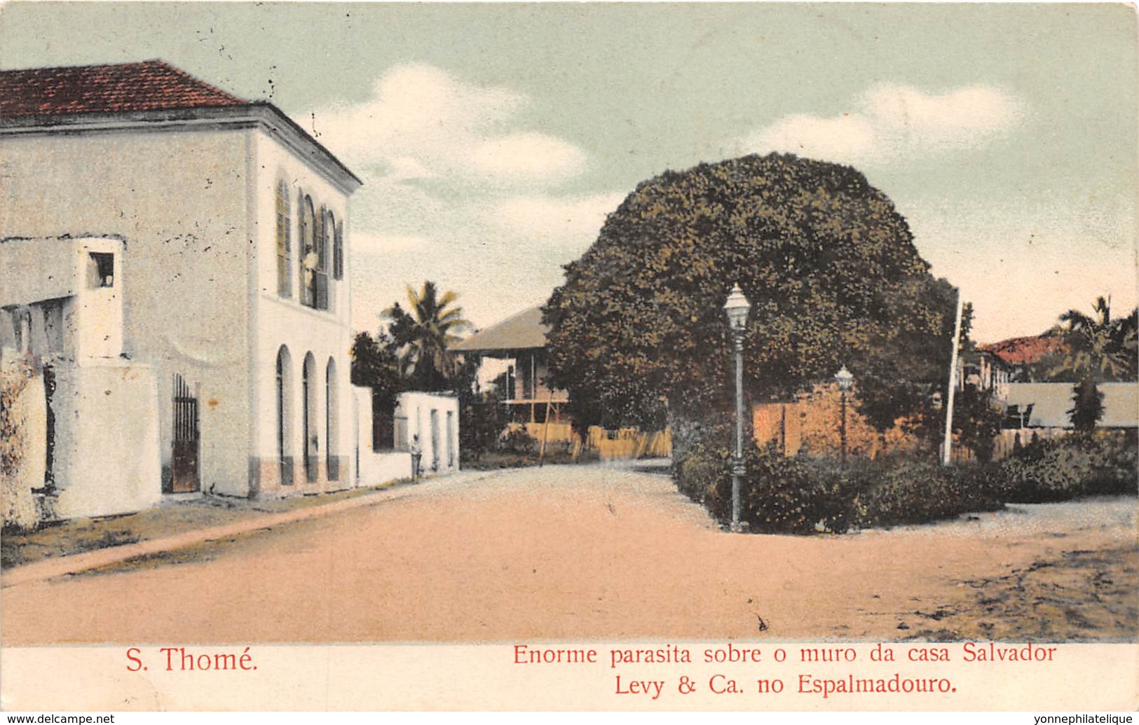 Sao Tome Et Principe / 15 - Enorme Parasita Sobre O Muro Da Casa Salvador - Belle Oblitération - São Tomé Und Príncipe