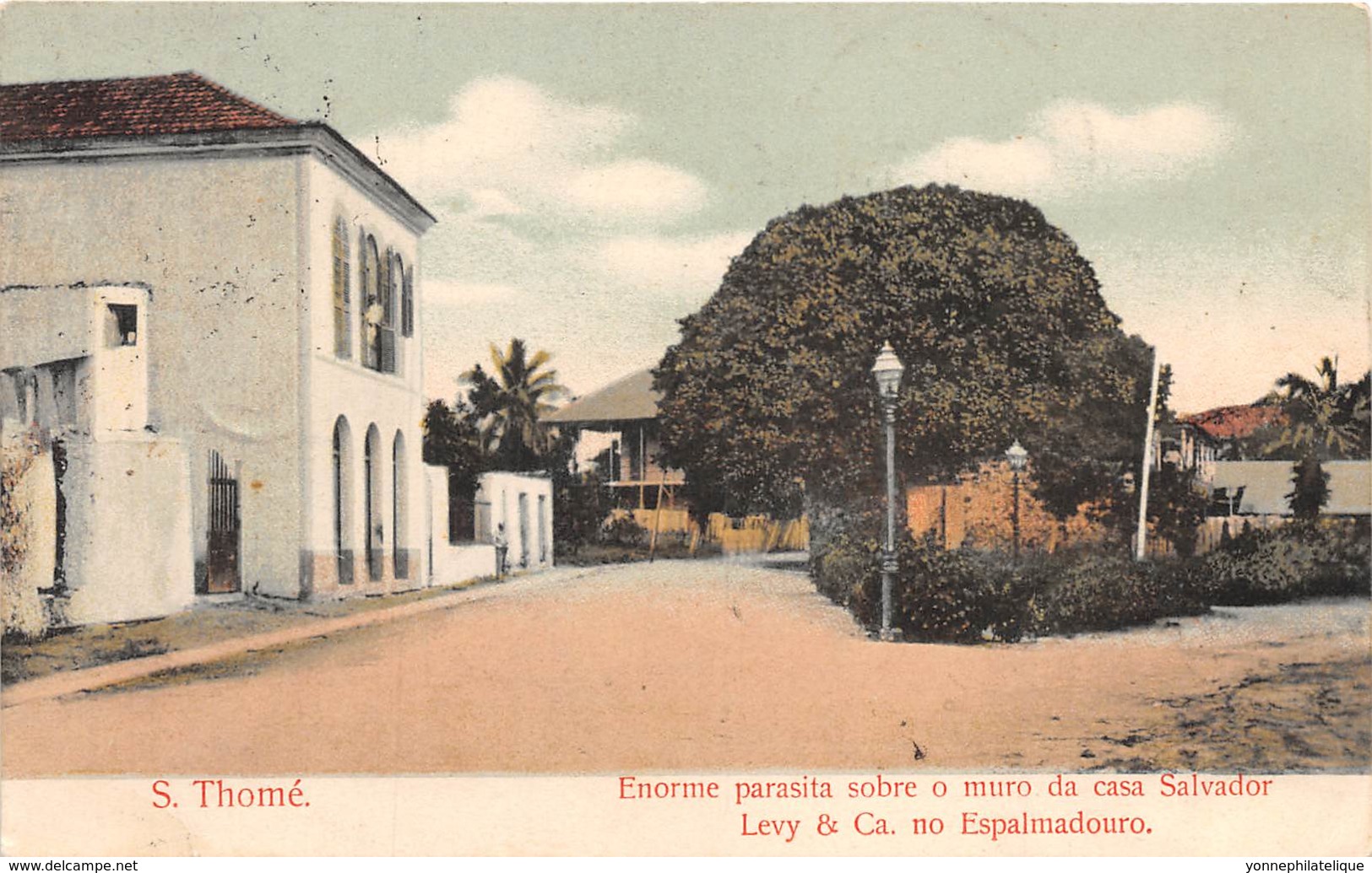Sao Tome Et Principe / 15 - Enorme Parasita Sobre O Muro Da Casa Salvador - Belle Oblitération - Sao Tome En Principe