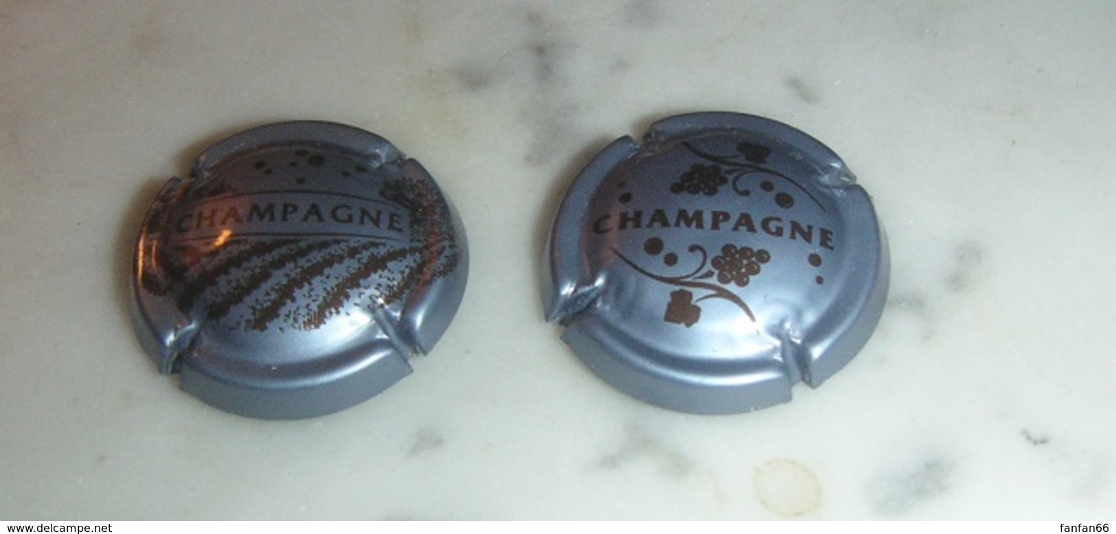 Lot De 2 Capsules De Champagne - Autres & Non Classés