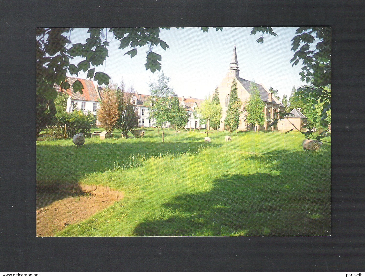 DENDERMONDE - TERMONDE - BEGIJNHOF - SCHAPENWEIDE MET BEGIJNHOFKERK    (9554) - Dendermonde