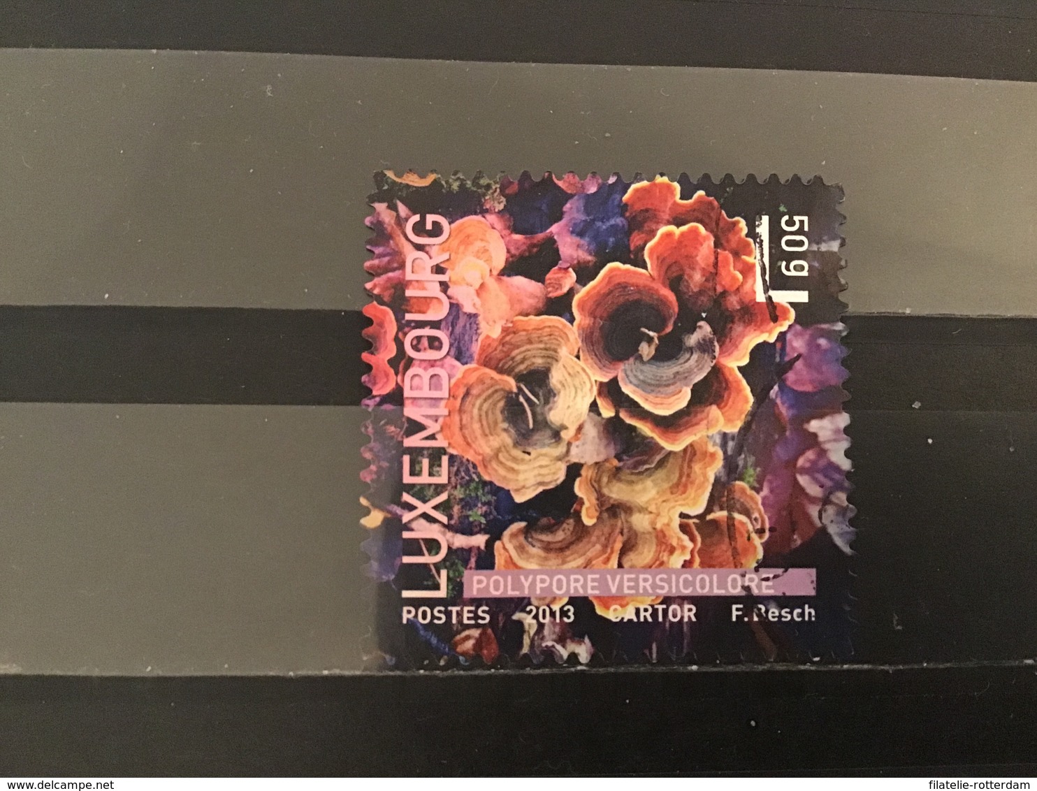 Luxemburg / Luxembourg - Paddenstoelen 2013 - Used Stamps