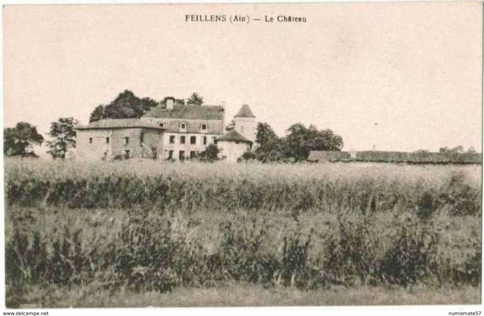 CPA FEILLENS - Le Château - Non Classés