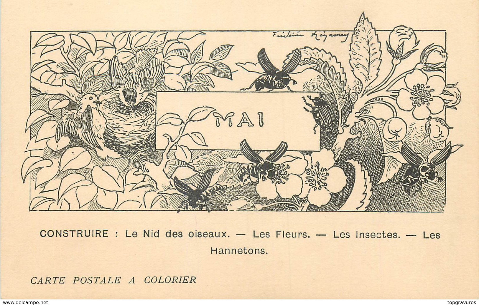 CARTE POSTALE A COLORIER LES MOIS - MAI - NID DES OISEAUX - Autres & Non Classés