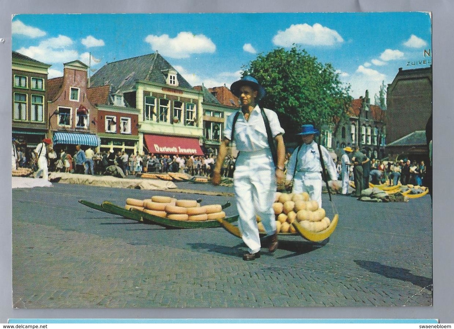 NL.- ALKMAAR. Alkmaarse Kaasmarkt.  Cheese Market. Marché Aux Fromages. - Andere & Zonder Classificatie