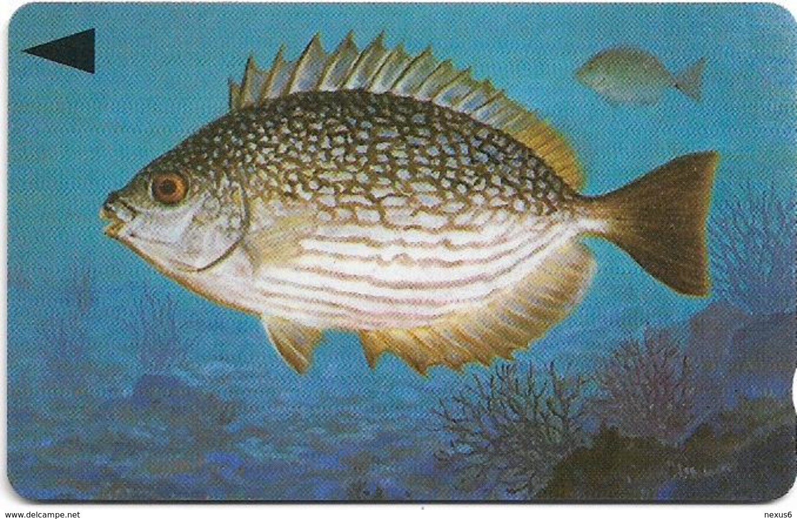 Bahrain - Fish Of Bahrain - Streaked Rabbitfish - 40BAHG (Ø) - 1996, Used - Bahrain