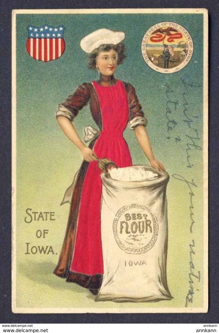 IOWA STATE Woman In Red/purple Silk Applique Apron Scooping From Bag Flour - Femmes