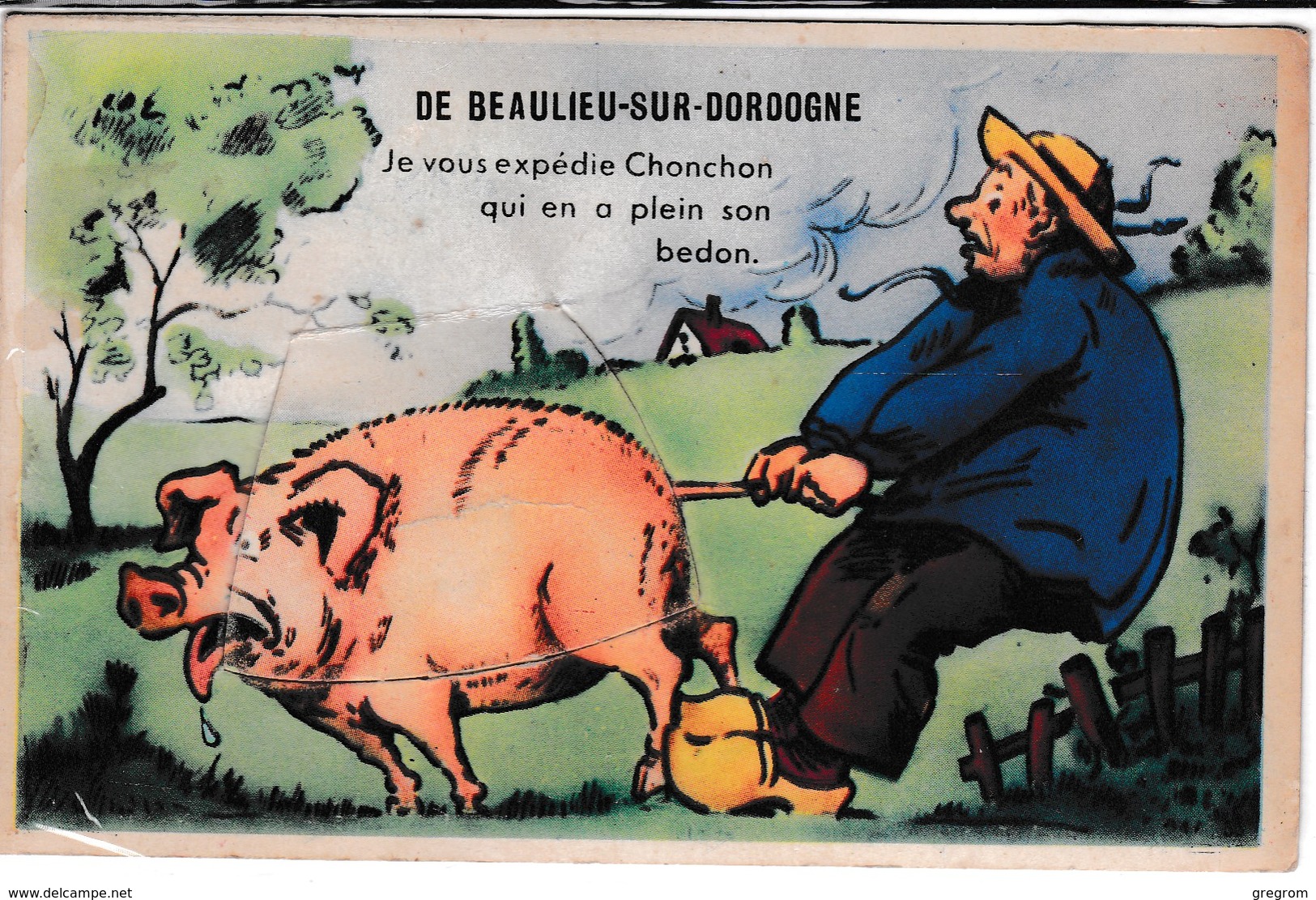 19 : BEAULIEU Sur DORDOGNE Je Vous Expedie Chonchon , Carte Systeme Avec Depliant , Cochon - Autres & Non Classés