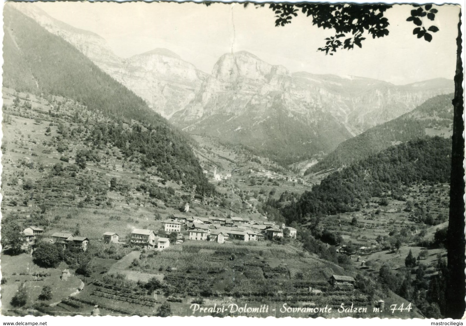 SALZEN  SOVRAMONTE  BELLUNO  Panorama  Prealpi -Dolomiti  Cachet Locanda Pavione Aune - Belluno