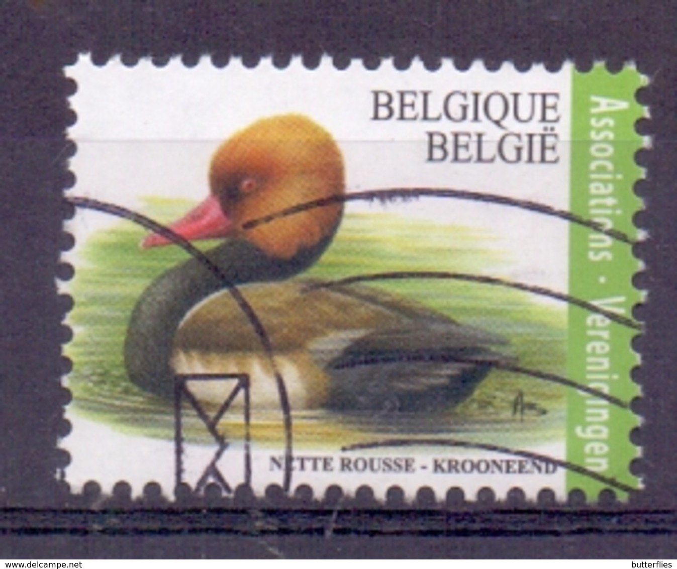 Belgie - 2018 -  Natuur - Krooneend - Oblitérés