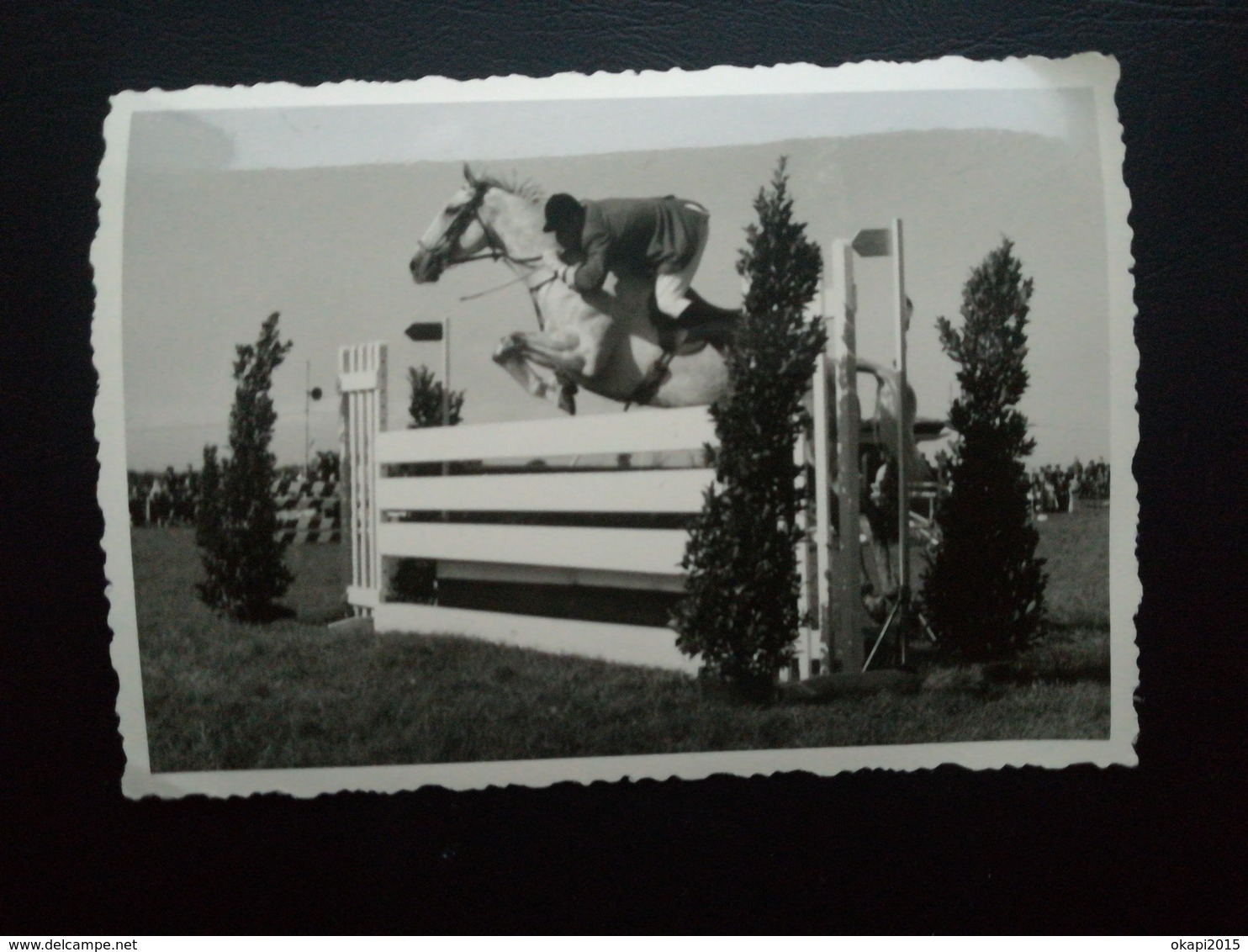 COURSE DE CHEVAUX AVEC OBSTACLES LOT 18 PHOTOS ORIGINALES LIEU ET ANNÉE PAS INDIQUÉS - Sports