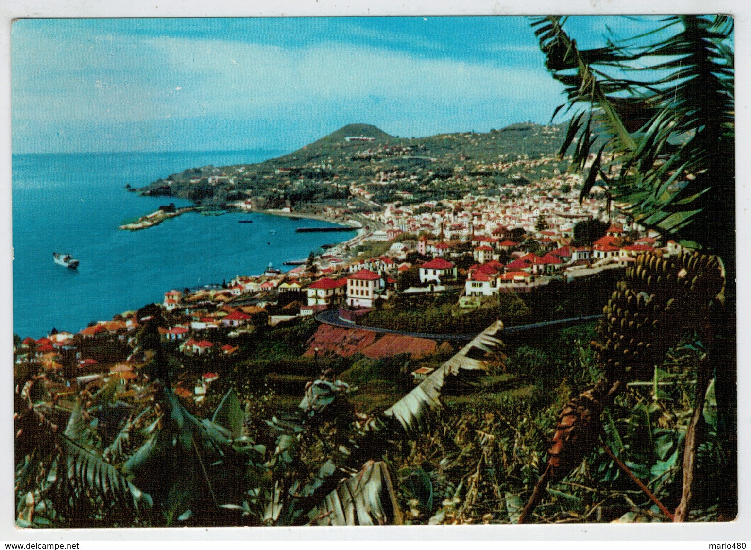 FUNCHAL  (MADEIRA)   VISTA  OESTE            (NUOVA ) - Madeira