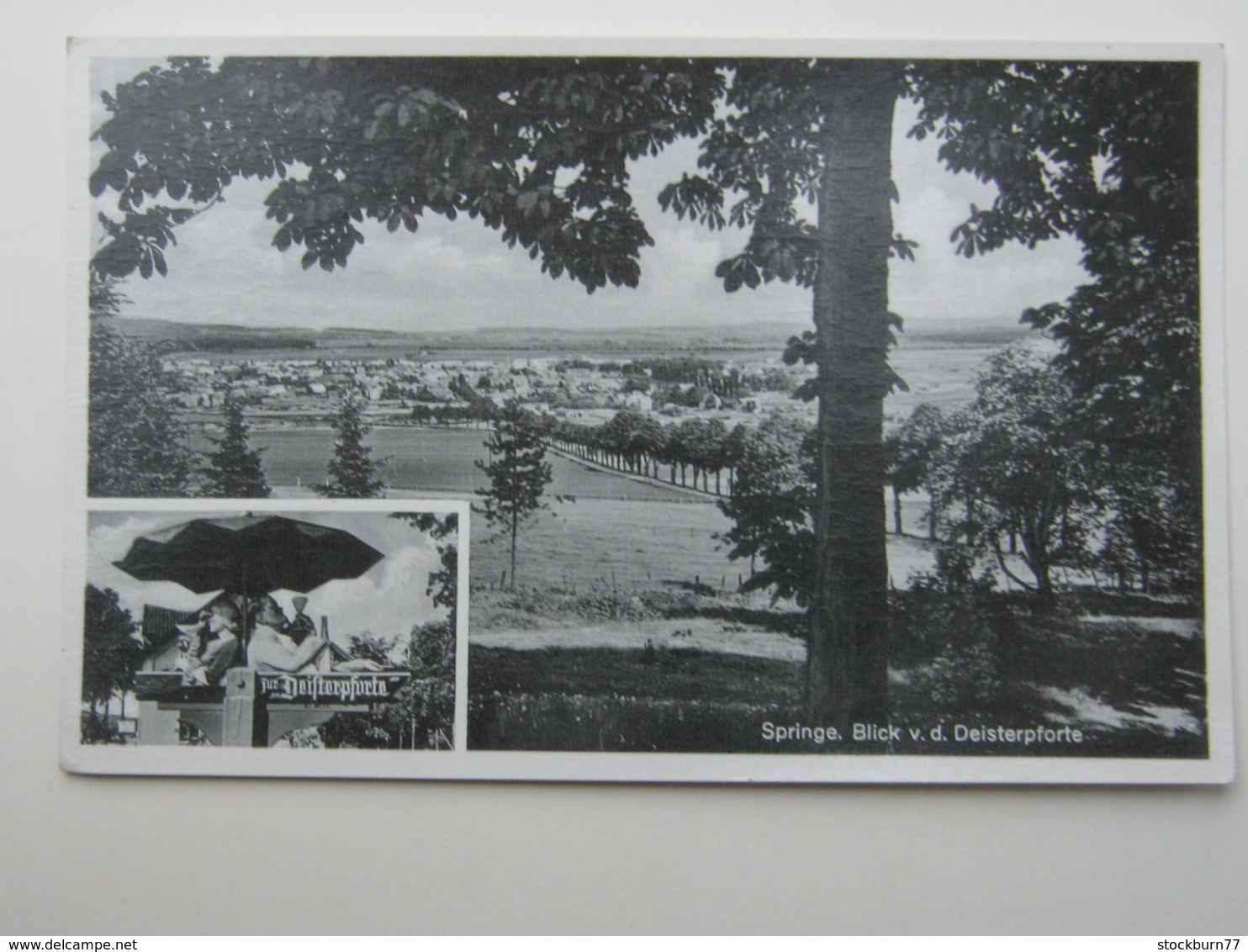 SPRINGE  , Gasthof, Schöne Karte Um 1955 - Springe