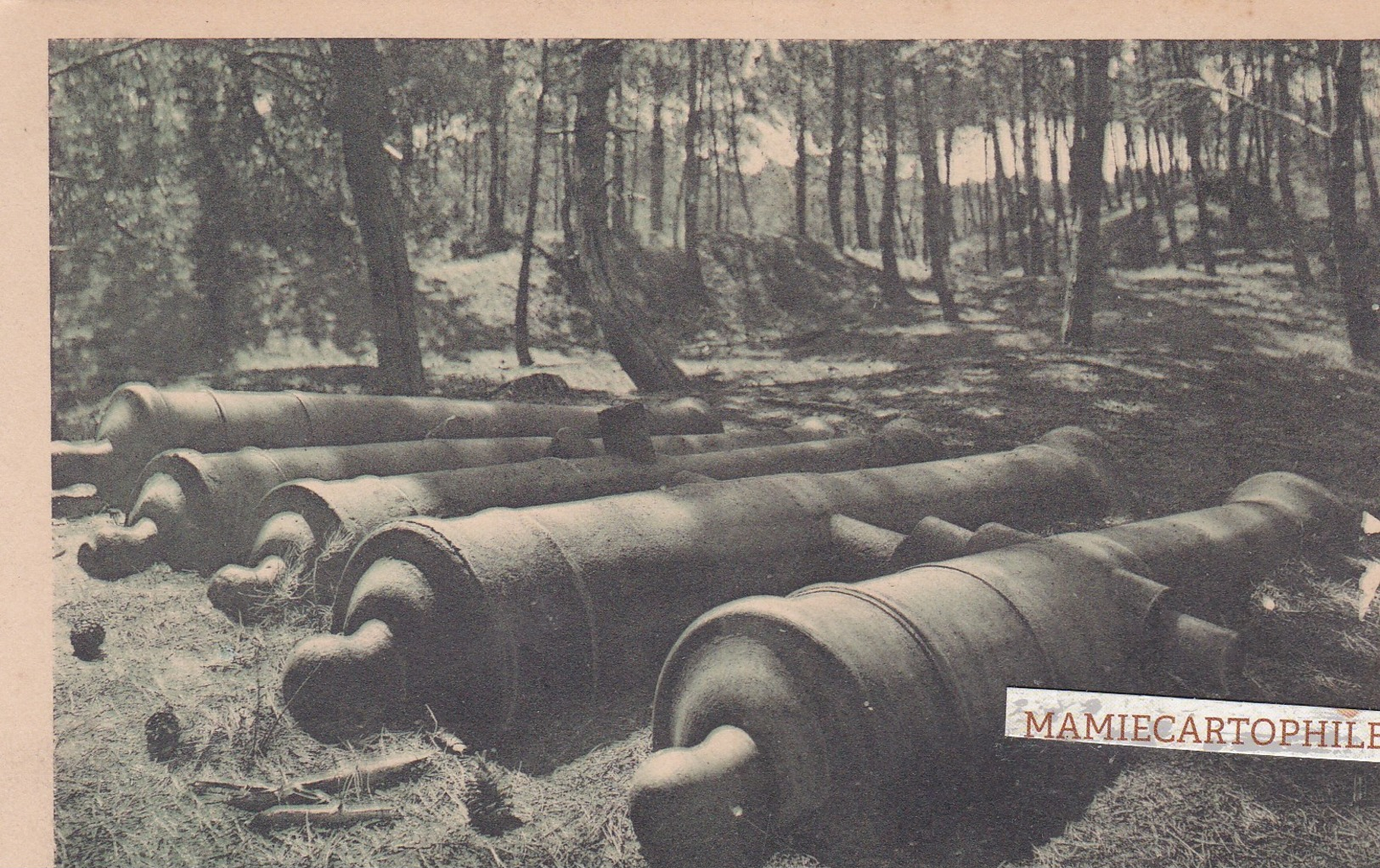 ROYAN - Dépt 17 - Forêt De La Coudre - Canons Ensablés Restés D'un Fort Remontant à Napoléon 1er - Royan