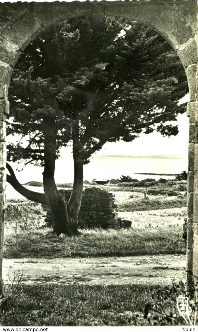 Ile D'Arz échappée Sur La Mer - Ile D'Arz