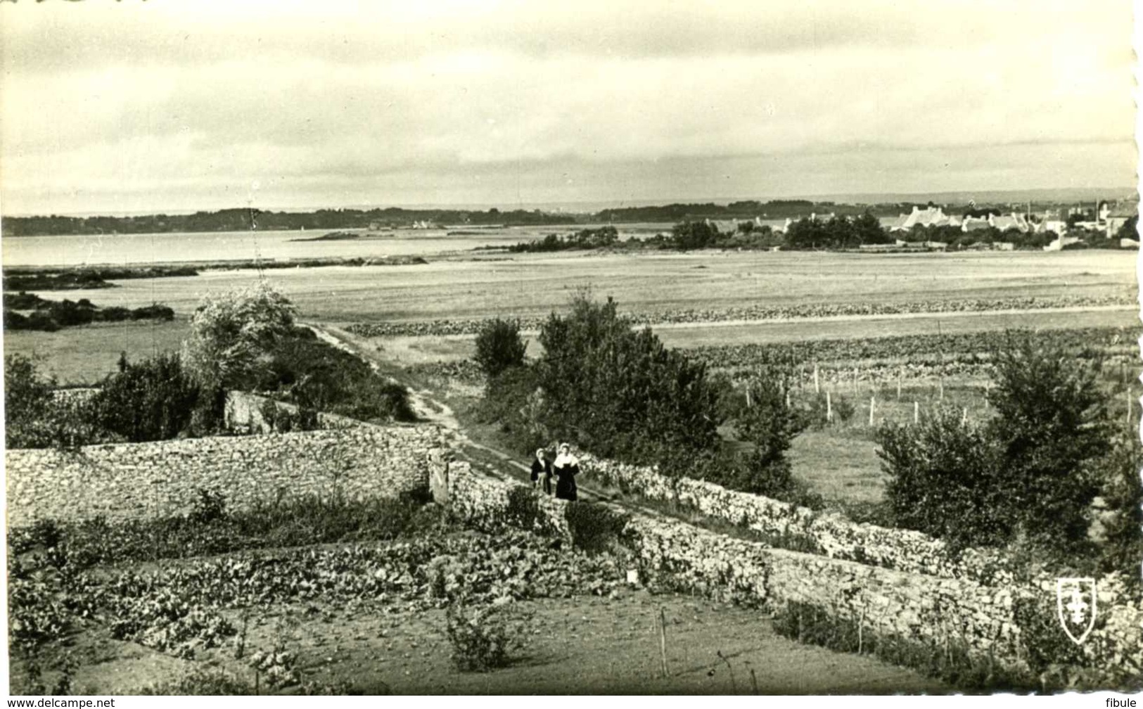 Ile D'Arz Le Chemin De La Procession - Ile D'Arz